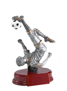 small soccer trophy